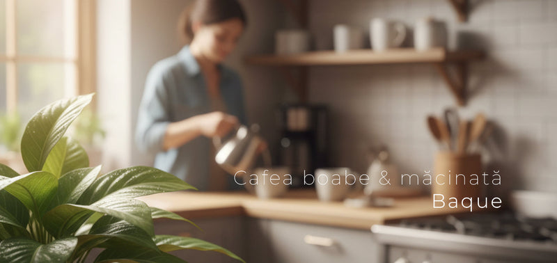 Cafea Baque prajire naturala - Selectie boabe Arabica si blenduri profesionale